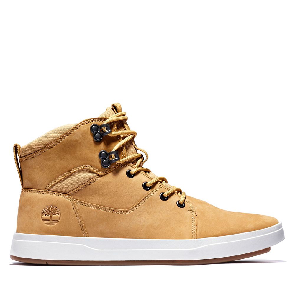 Botas de Seguridad Timberland Argentina Hombre - Davis Square - Marrones - PCLRET-325